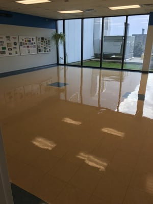 Lorem Ipsum Chronicles: An In-Depth Analysis