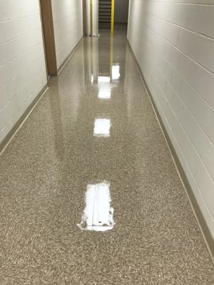 Lorem Ipsum: A Journey into Placeholder Text