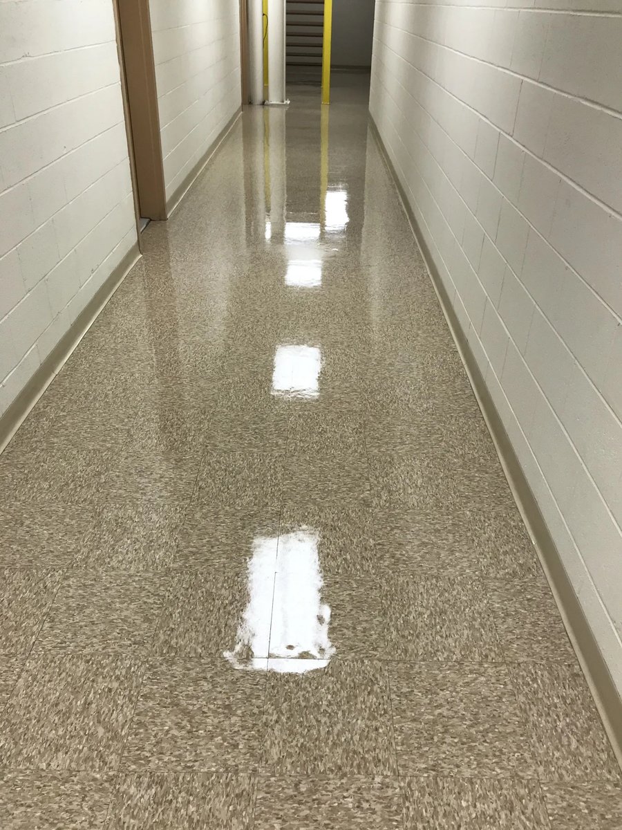 Lorem Ipsum: A Journey into Placeholder Text