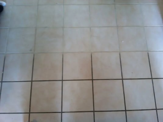 Bridging Gaps with Lorem Ipsum: The Universal Language of Design