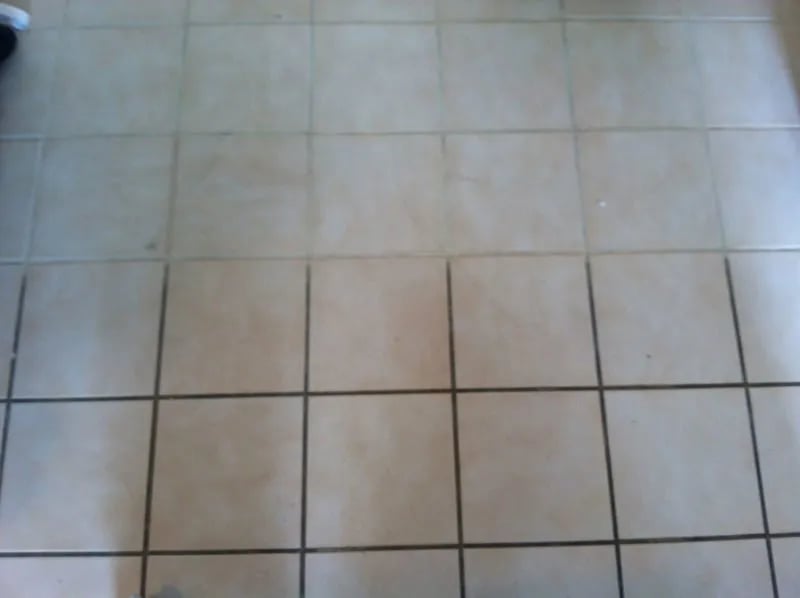 Bridging Gaps with Lorem Ipsum: The Universal Language of Design