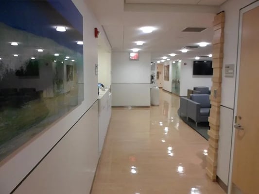 The Lorem Ipsum Experience: Crafting Seamless User Interfaces